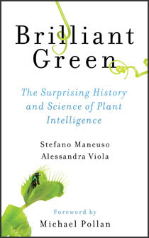 image of book cover for brilliant green