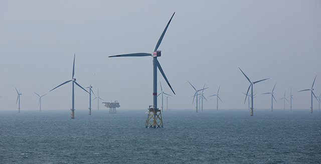 photo of wind turbines in the sea