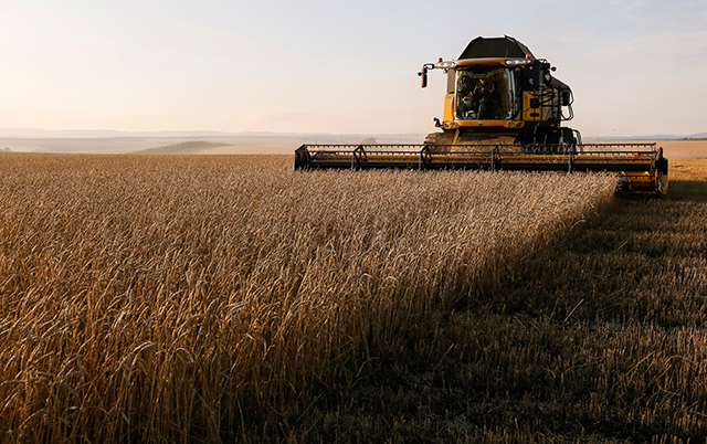 photo of wheat field being harvested