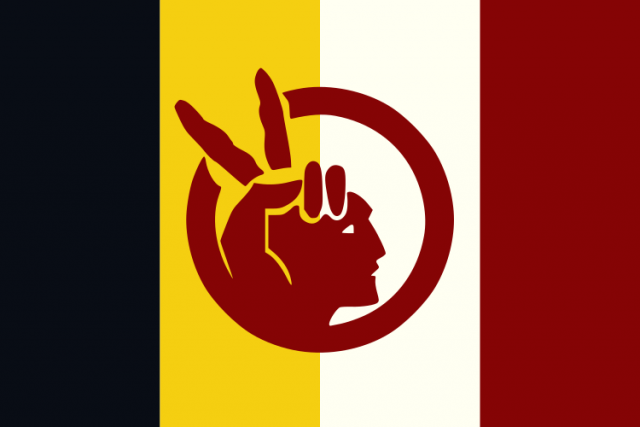 image of american indian movement flag