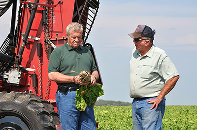 Rep. Collin Peterson with sugar beet