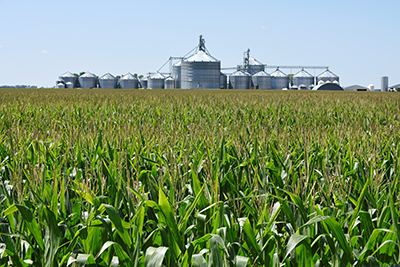 photo of corn field with silos in background