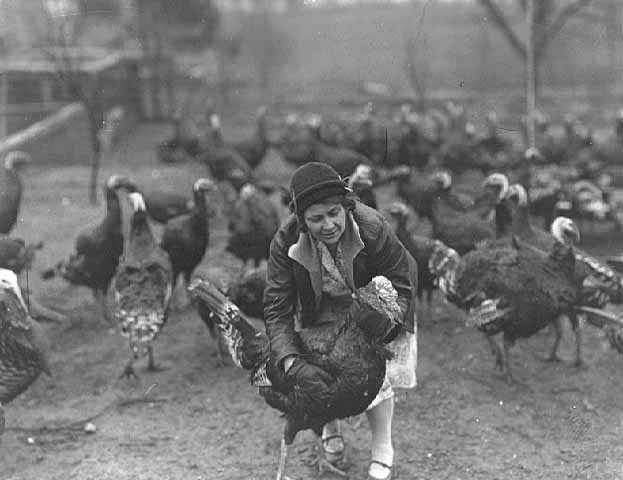 historical photo of woman with turkeys