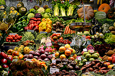 a variety of vegetables