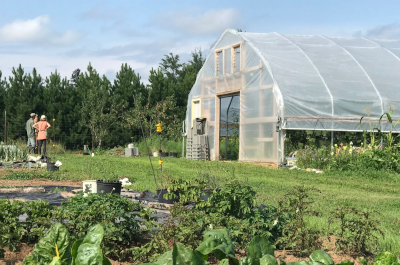 photo of high tunnel greenhouse