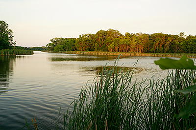 Wetlands in Robbins Island Regional Park near Willmar.