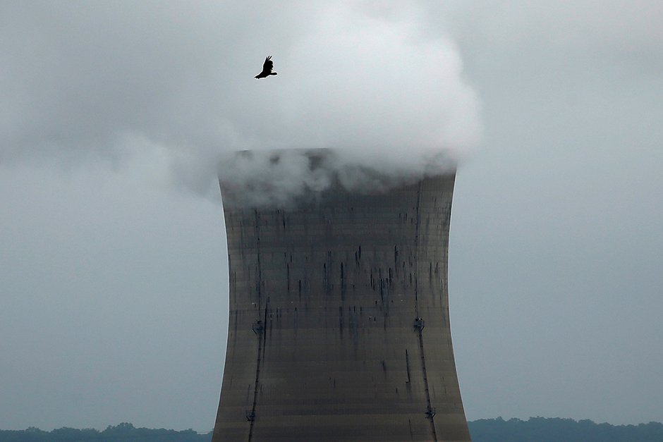 A bird flying over the Three Mile Island Nuclear power plant in Goldsboro, Pennsylvania.