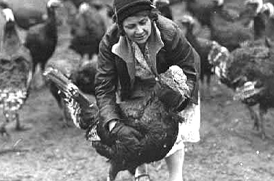 Woman and turkeys