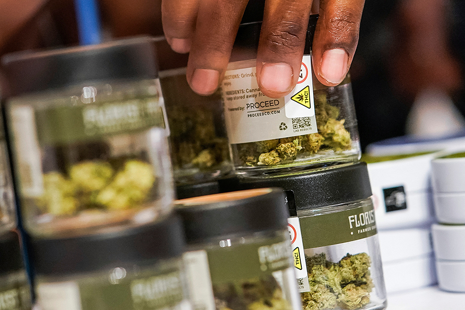 A worker organizing cannabis flowers at a recreational marijuana dispensary.