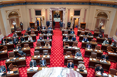 Floor of the Minnesota Senate