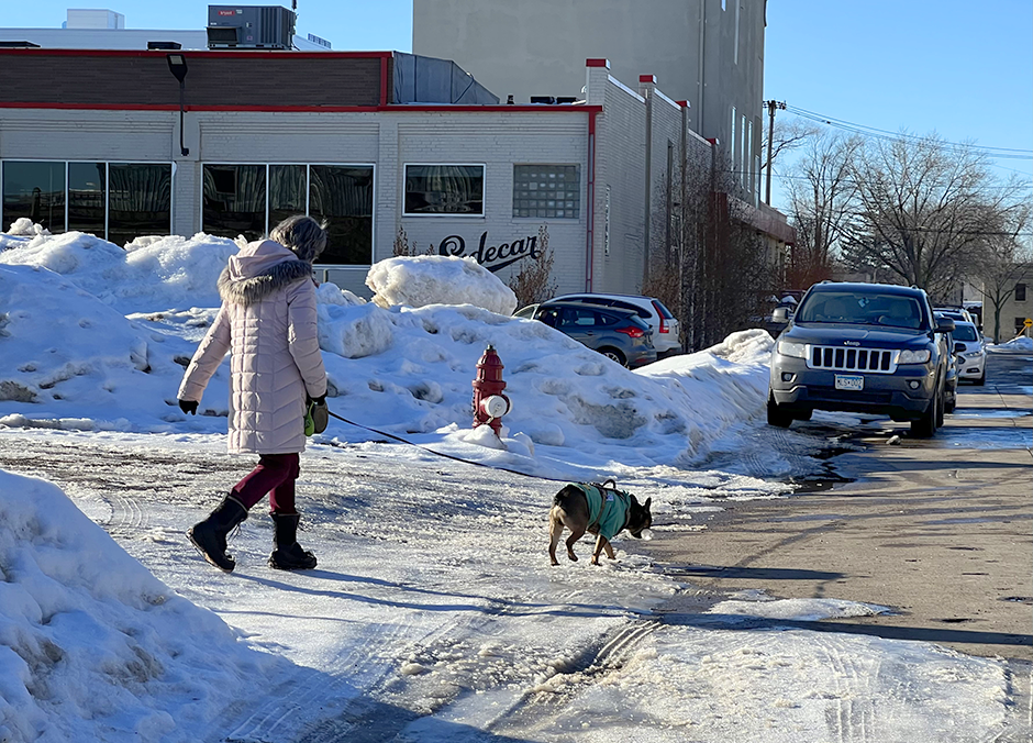 A pedestrian and dog stray into the street to avoid a snow-covered sidewalk in southeast Minneapolis in February 2023.
