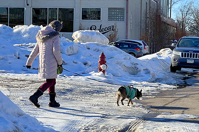 A pedestrian and dog stray into the street to avoid a snow-covered sidewalk in southeast Minneapolis in February 2023.