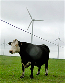 Wind turbines in rural Dodge Center